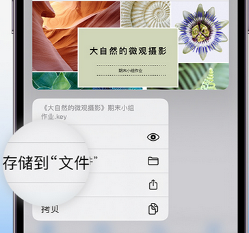 密云apple维修中心分享iPhone文件应用中存储和找到下载文件