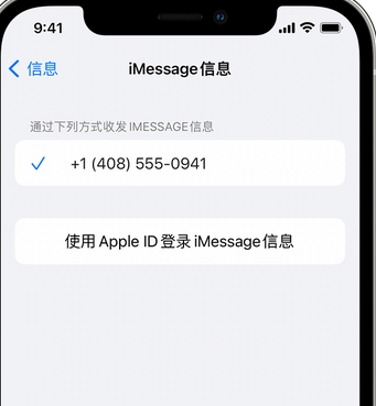 密云apple维修iPhone上无法正常发送iMessage信息 