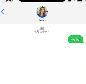 密云apple维修iPhone上无法正常发送iMessage信息