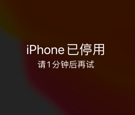 密云苹果手机维修分享:iPhone 显示“不可用”或“已停用”怎么办？还能保留数据吗？ 