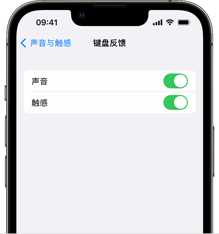 密云苹果14维修店分享如何在 iPhone 14 机型中使用触感键盘 