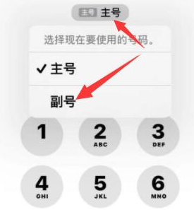 密云苹果14维修店分享iPhone 14 Pro Max使用副卡打电话的方法 