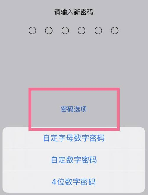 密云苹果14维修分享iPhone 14plus设置密码的方法 