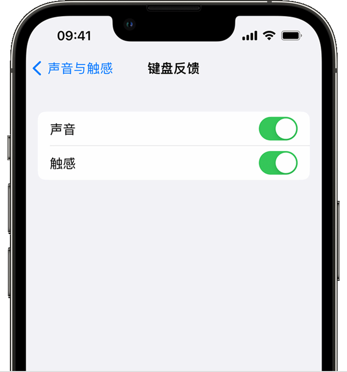 密云苹果14维修分享iPhone 14 系列机型如何开启键盘声音或触感反馈 