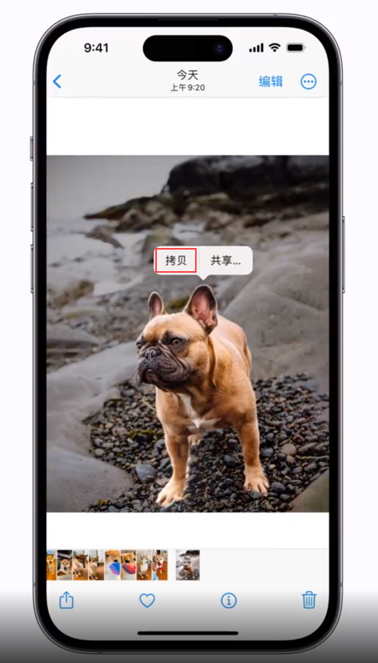 密云苹果手机维修分享 iOS 16 自带一键抠图功能 