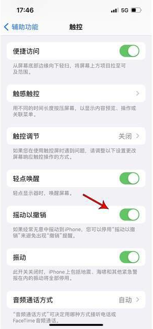 密云苹果手机维修分享iPhone手机如何设置摇一摇删除文字 