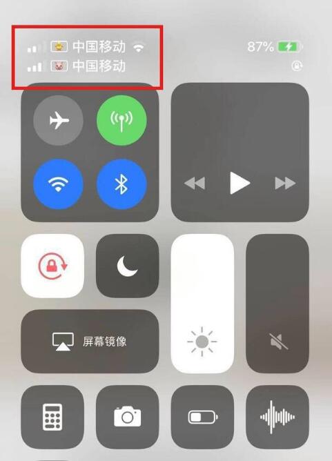 密云苹果手机维修分享为 iPhone 12 双卡设置标签 